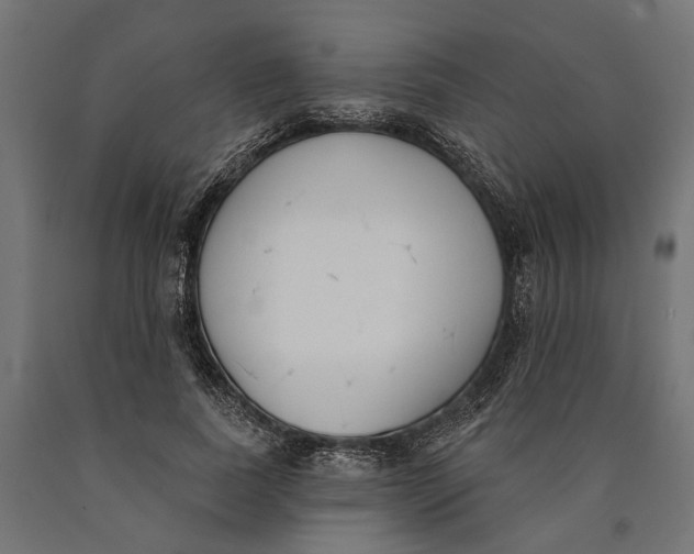 X0000090420739200708031106