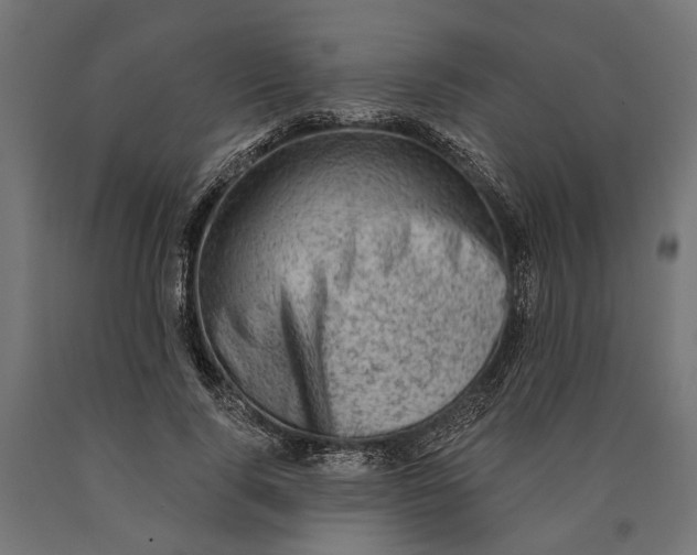 X0000090420740200708031106