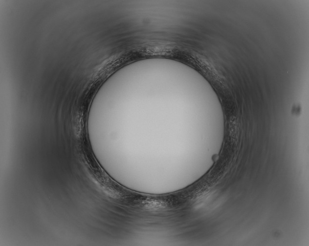 X0000090420741200708031106