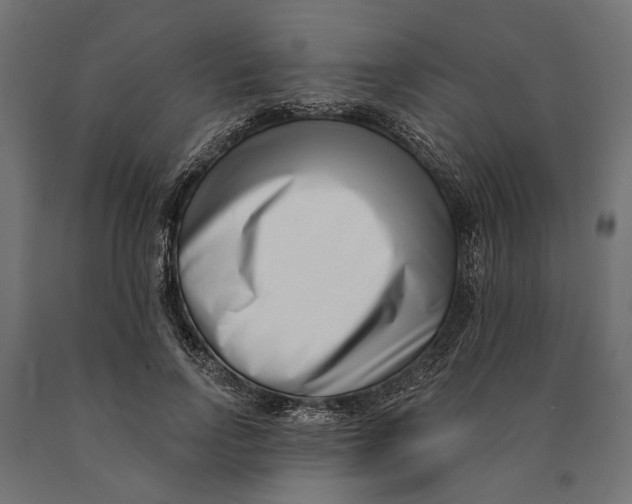 X0000090420742200708031106