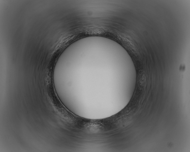 X0000090420743200708031106