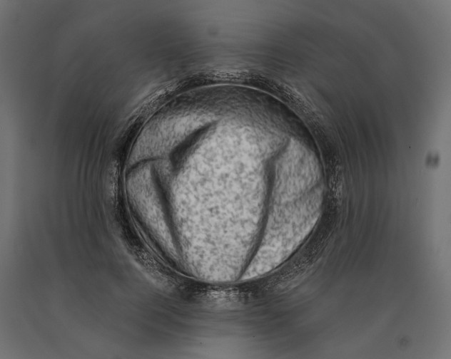 X0000090420744200708031106