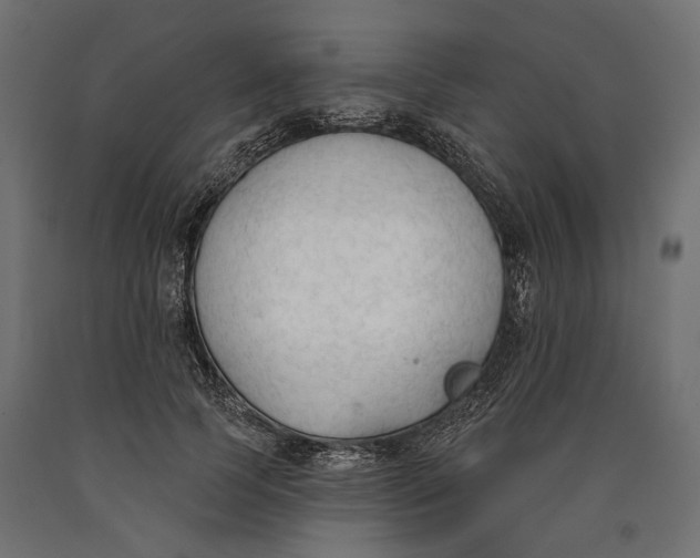 X0000090420745200708031106