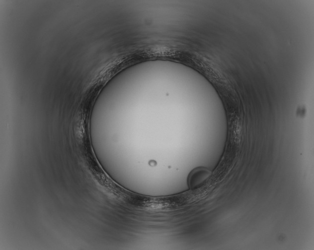 X0000090420746200708031106