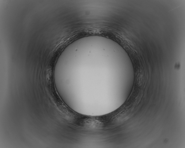 X0000090420747200708031106