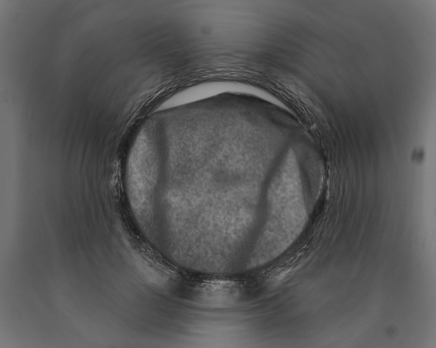 X0000090420748200708031106