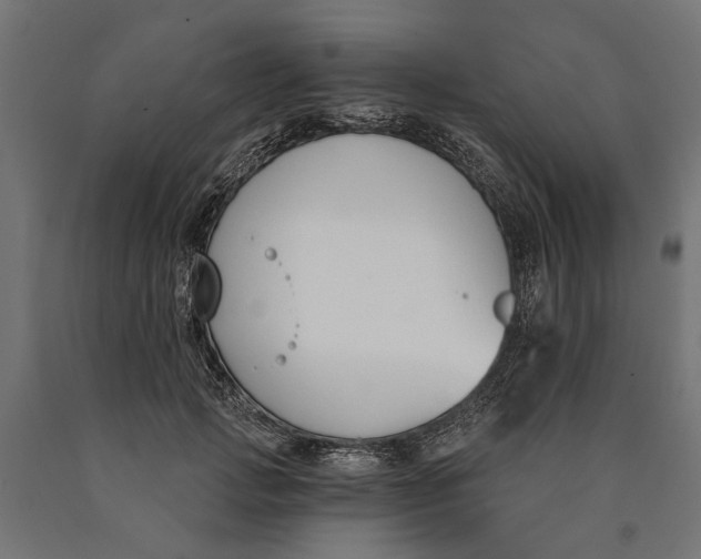 X0000090420749200708031106