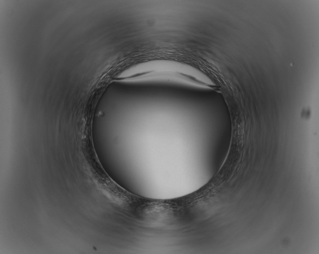 X0000090420750200708031106