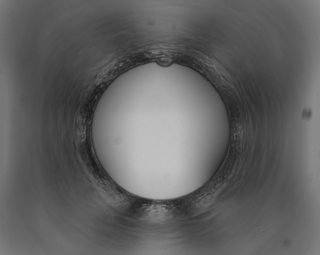 X0000090420751200708031106