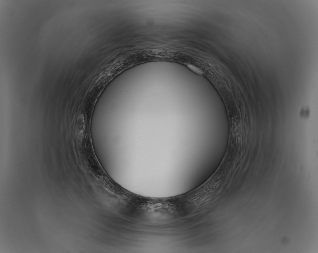 X0000090420752200708031106