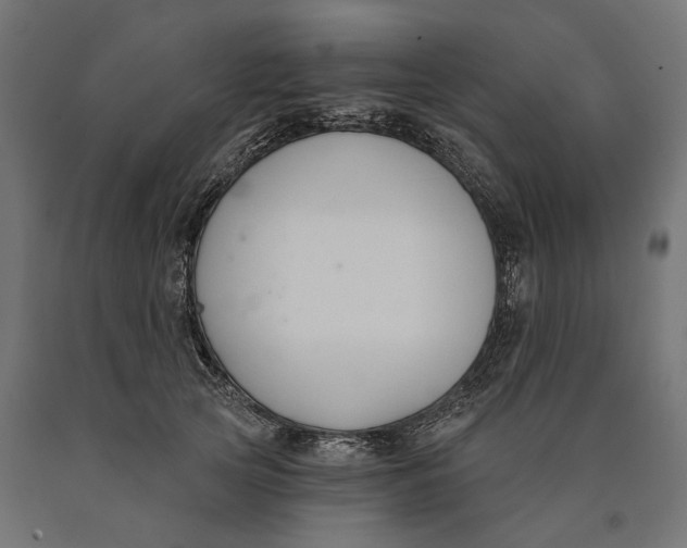 X0000090420753200708031106