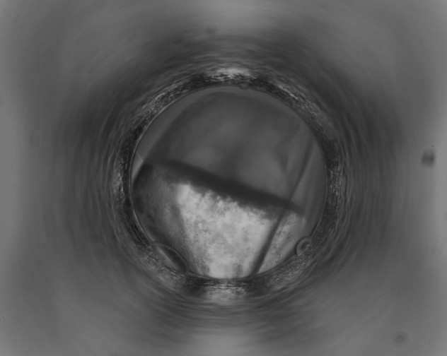 X0000090420754200708031106