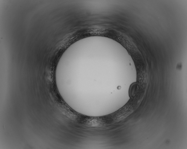 X0000090420755200708031106