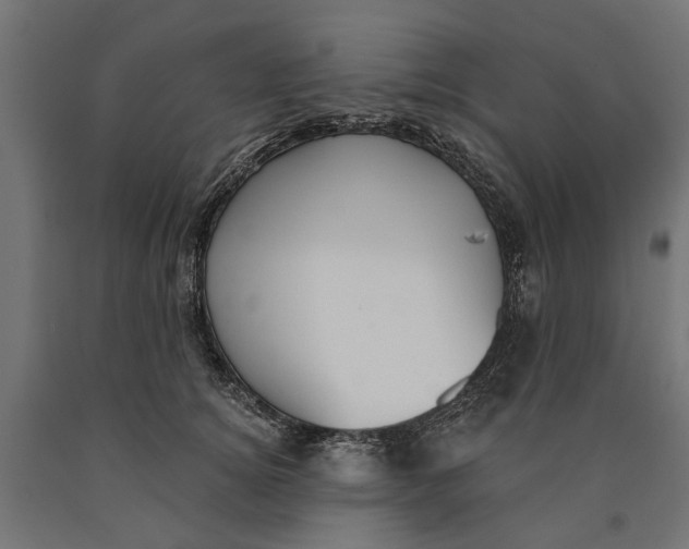 X0000090420756200708031106