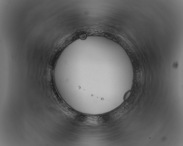 X0000090420757200708031106