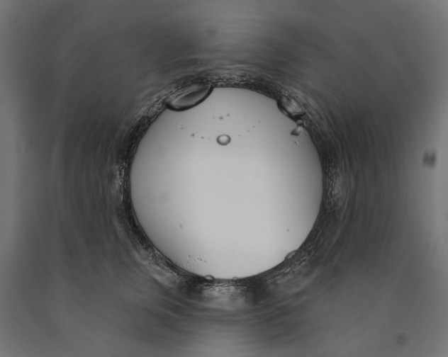 X0000090420759200708031106