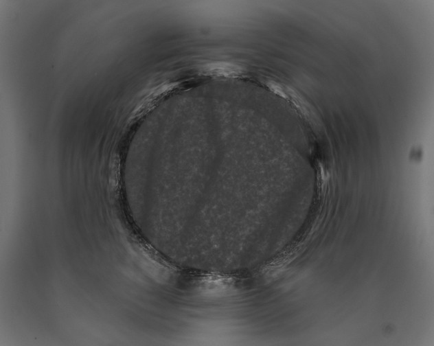 X0000090420760200708031106