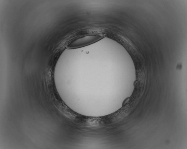 X0000090420761200708031106