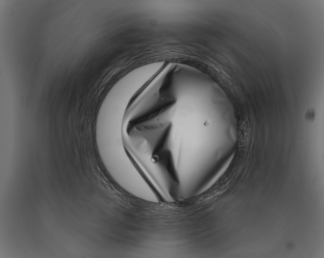 X0000090420762200708031106