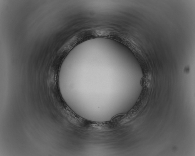 X0000090420763200708031106