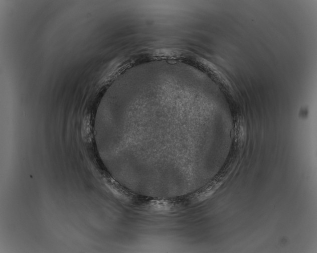 X0000090420764200708031106