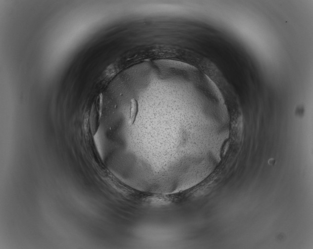 X0000090420765200708031106