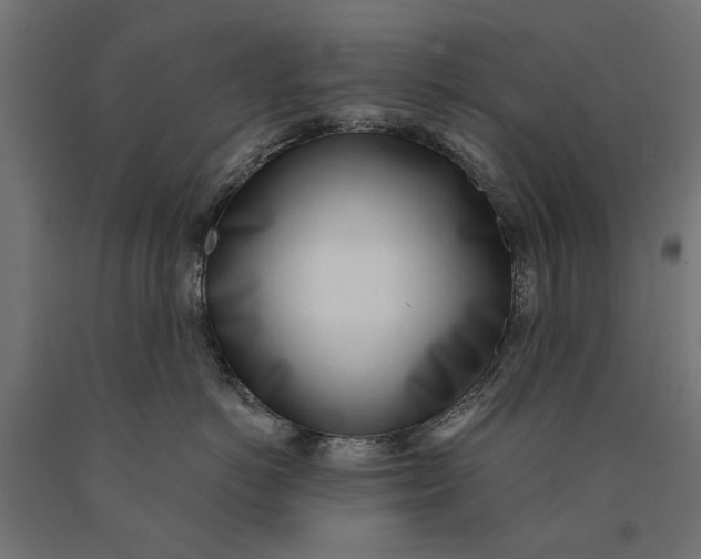 X0000090420766200708031106