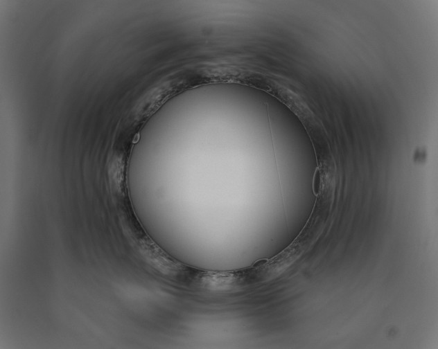 X0000090420767200708031106