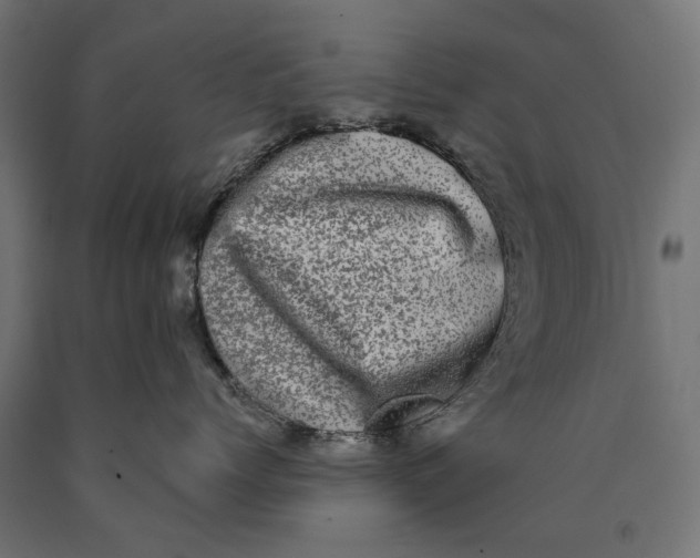 X0000090420768200708031106