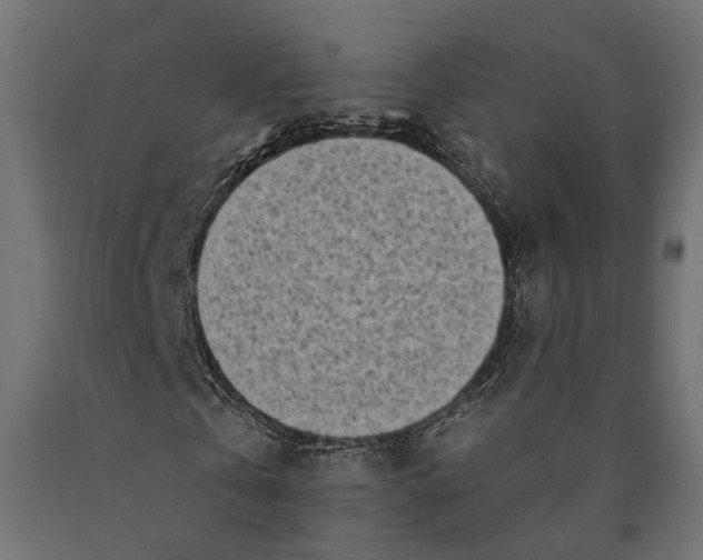 X0000090420769200708031105