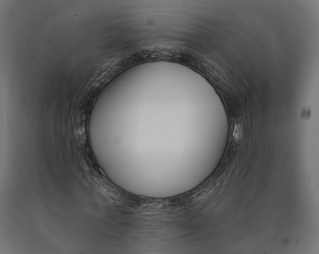 X0000090420771200708031105