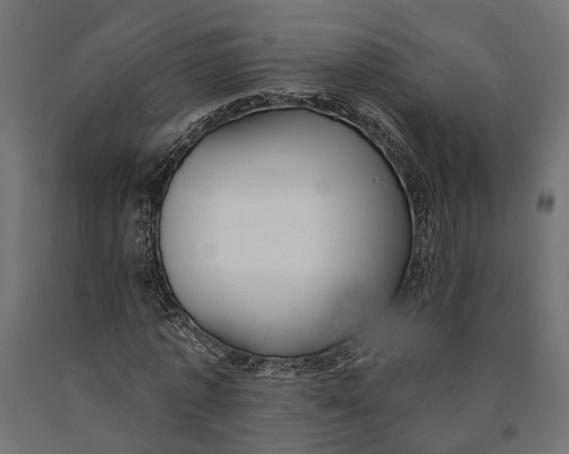 X0000090420773200708031105