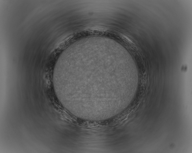 X0000090420774200708031105