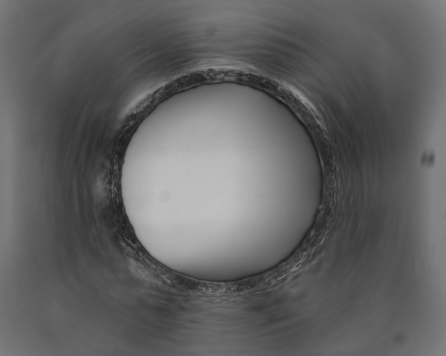 X0000090420775200708031105