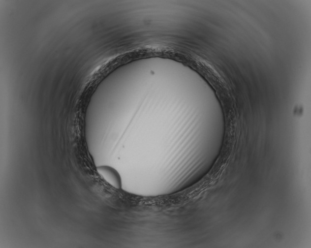 X0000090420776200708031105