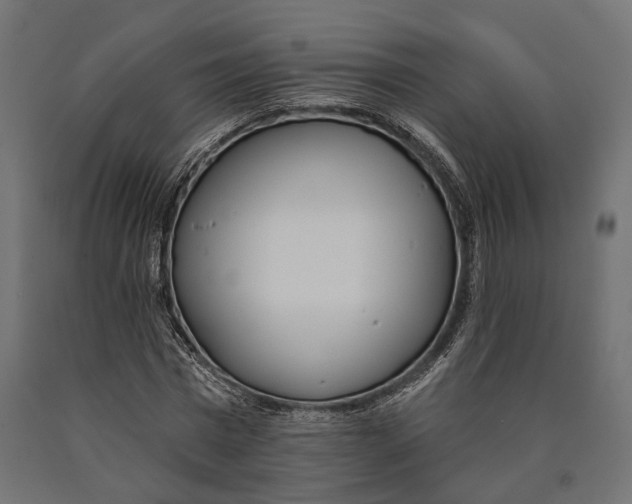 X0000090420777200708031105