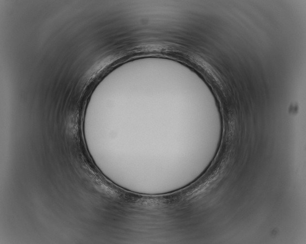 X0000090420778200708031105