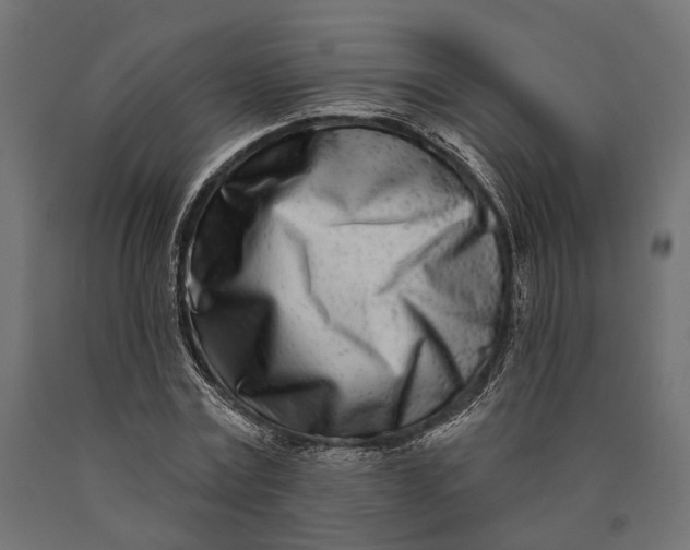 X0000090420779200708031105