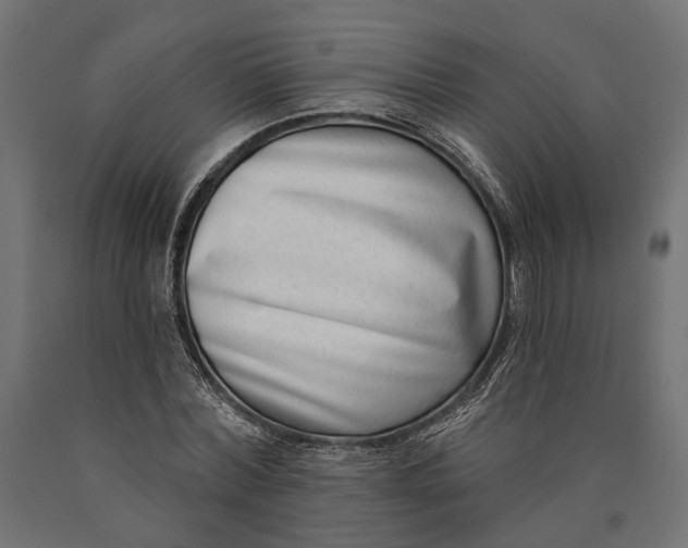 X0000090420780200708031105