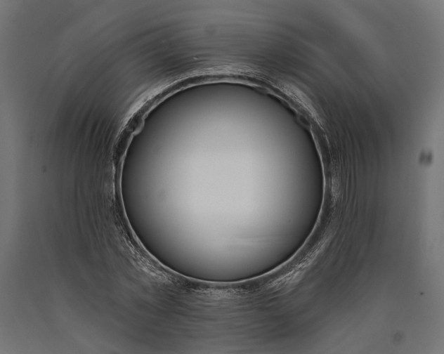 X0000090420781200708031105