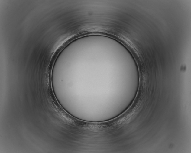 X0000090420782200708031105