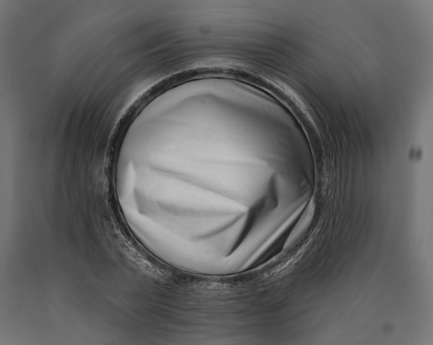 X0000090420783200708031105