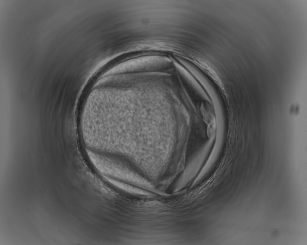 X0000090420784200708031105