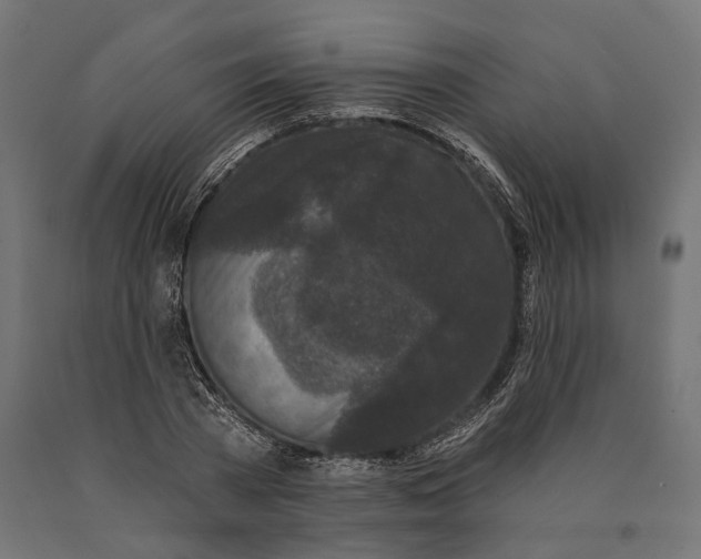 X0000090420785200708031105