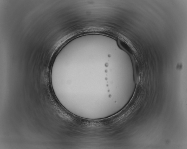 X0000090420786200708031105