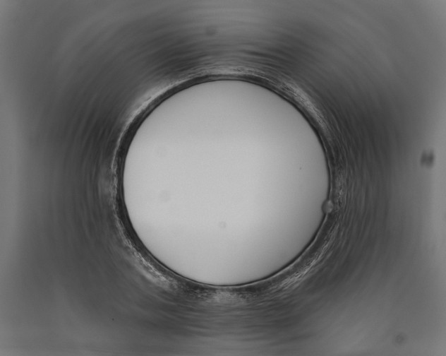 X0000090420787200708031105