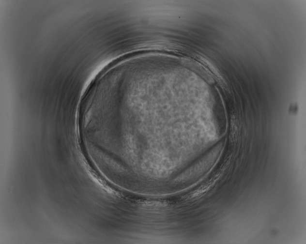 X0000090420788200708031105