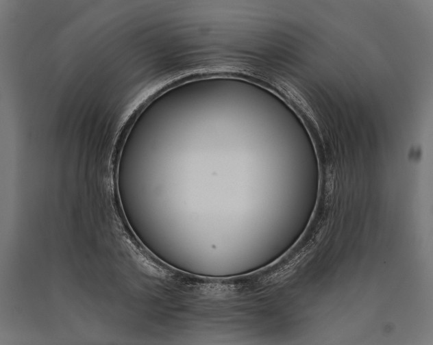 X0000090420789200708031105