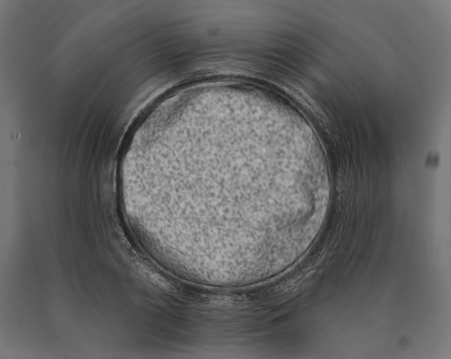 X0000090420790200708031105