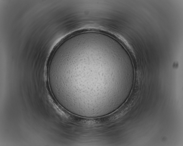 X0000090420791200708031105